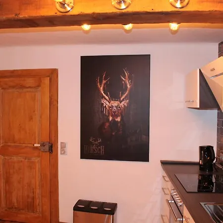 Appartement Altstadt, Gasthaus Hirsch Hirschhorn Exterior foto